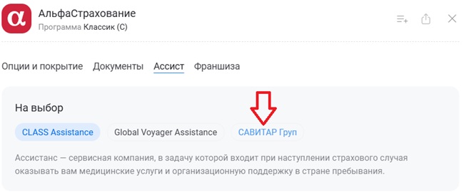как выбрать Savitar Group у АльфаСтрахования для Турции